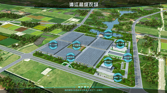 浦江超级农场：科技赋能让种植更高效