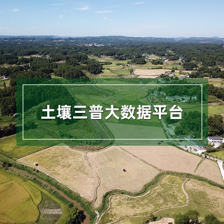 草莓视频污污免费APP三普大数据平台