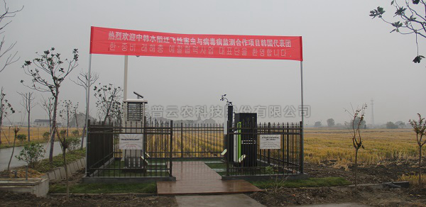 草莓视频在线免费水稻病虫害绿色防控智能监测设备 草莓视频在线免费水稻病虫害绿色防控智能监测设备