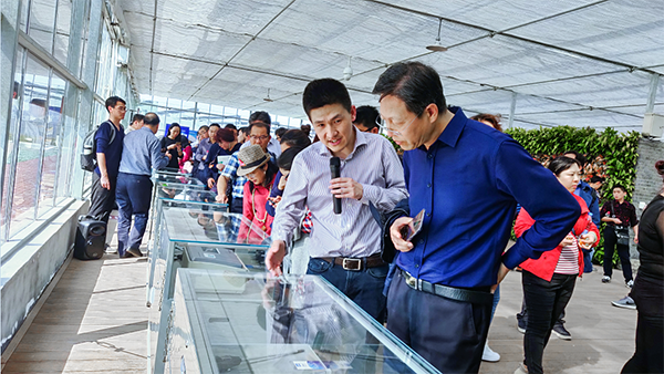 草莓视频在线免费副总经理陈曦向培训班介绍托普智能终端 草莓视频在线免费副总经理陈曦向培训班介绍托普智能终端