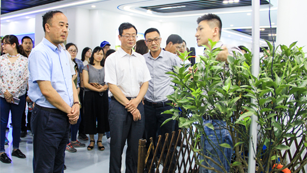 谢主任一行参观草莓视频在线免费展厅 谢主任一行参观草莓视频在线免费展厅