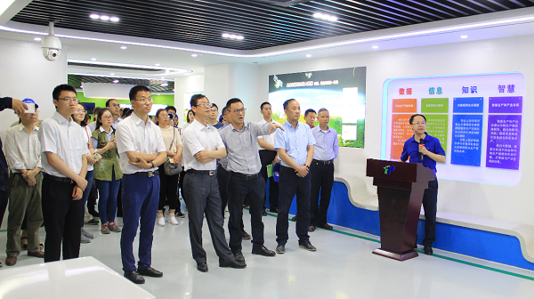 谢主任一行参观草莓视频在线免费展厅 谢主任一行参观草莓视频在线免费展厅