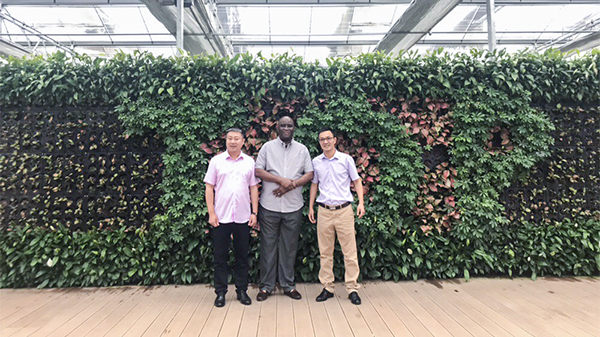 尼日利亚农业银行行长来访草莓视频在线免费 尼日利亚农业银行行长来访草莓视频在线免费