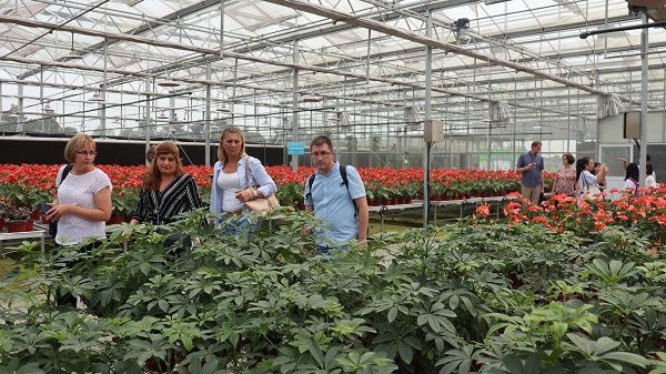 研修班一行来到由草莓视频在线免费与萧山农科所联合搭建的现代农业产业园进行考察 研修班一行来到由草莓视频在线免费与萧山农科所联合搭建的现代农业产业园进行考察