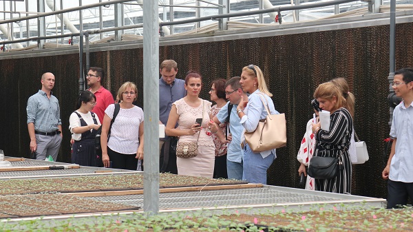 研修班一行来到由草莓视频在线免费与萧山农科所联合搭建的现代农业产业园进行考察 研修班一行来到由草莓视频在线免费与萧山农科所联合搭建的现代农业产业园进行考察