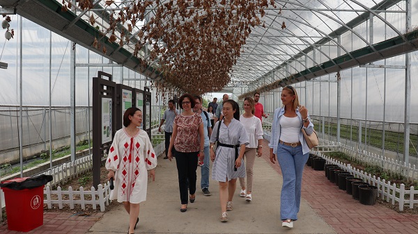 研修班一行来到由草莓视频在线免费与萧山农科所联合搭建的现代农业产业园进行考察 研修班一行来到由草莓视频在线免费与萧山农科所联合搭建的现代农业产业园进行考察