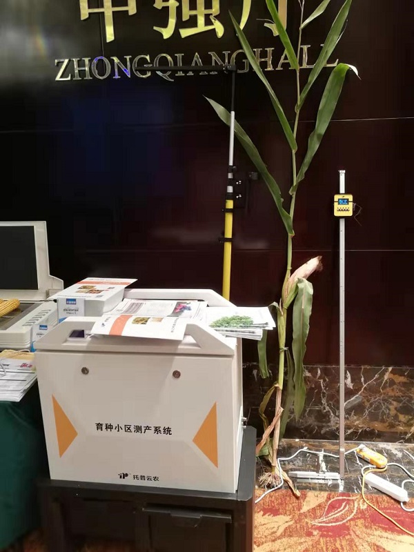 草莓视频在线免费考种设备 草莓视频在线免费考种设备