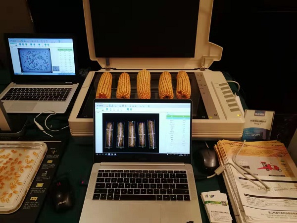 草莓视频在线免费考种设备 草莓视频在线免费考种设备