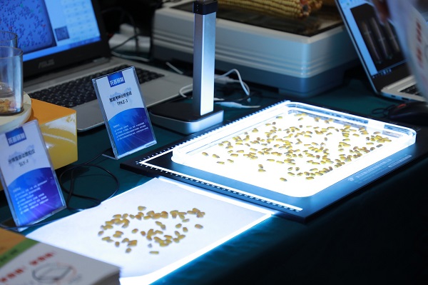 草莓视频在线免费考种设备 草莓视频在线免费考种设备