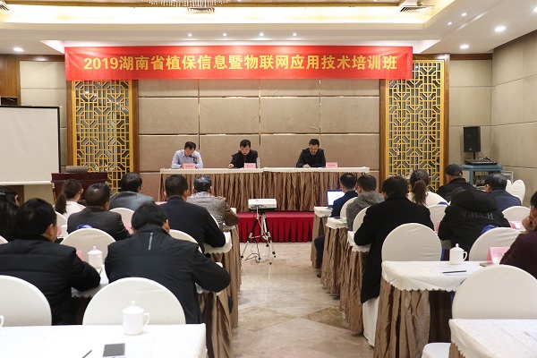 草莓视频在线免费服务湖南省植保信息技术培训班在杭开班 草莓视频在线免费服务湖南省植保信息技术培训班在杭开班