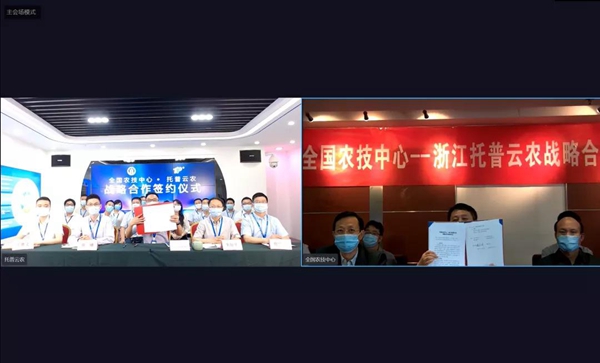 草莓视频在线免费与全国农技中心云签约仪式 草莓视频在线免费与全国农技中心云签约仪式