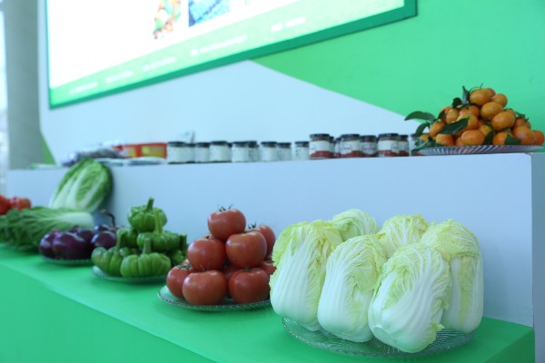 推介会现场 推介会现场