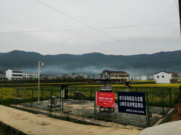 草莓视频在线免费病虫害监测点 草莓视频在线免费病虫害监测点