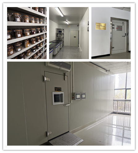 1646291132787636.png 8.png