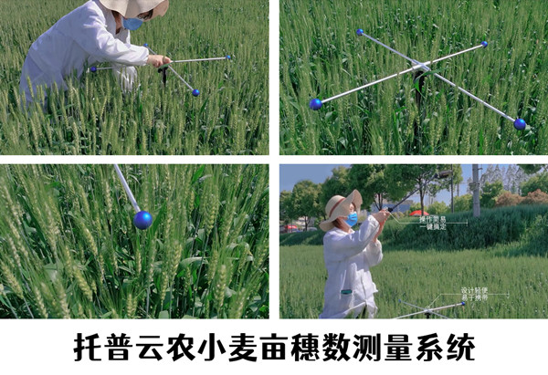 1649643298440490.jpg 3.jpg