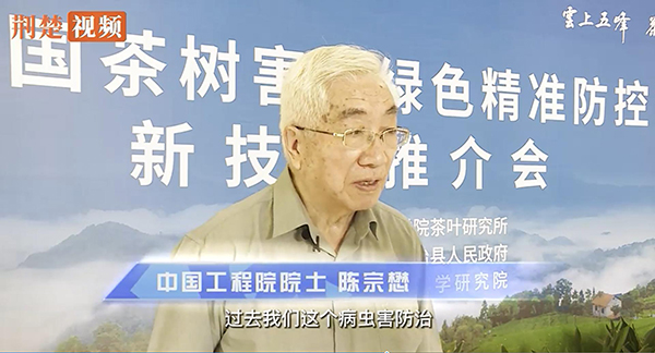 全国茶树病虫绿色精准防控技术推介会举行 全国茶树病虫绿色精准防控技术推介会举行
