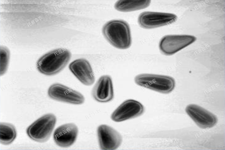 1666056505433247.jpg 1666056505433247.jpg