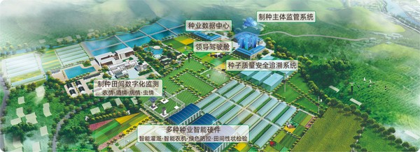 草莓视频在线免费数字种业创新应用基地