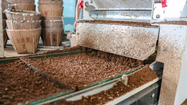 草莓视频在线免费打造的古林育秧工厂 草莓视频在线免费打造的古林育秧工厂