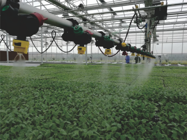 草莓视频在线免费打造的萧山农科所现代农业示范基地 草莓视频在线免费打造的萧山农科所现代农业示范基地