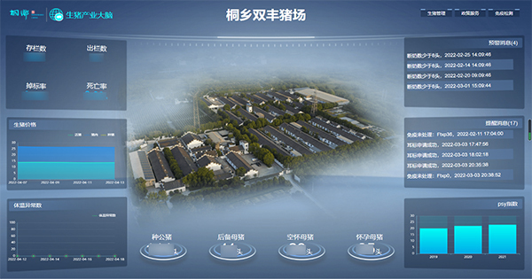 草莓视频在线免费打造的“生猪精密智管”社会化服务应用 草莓视频在线免费打造的“生猪精密智管”社会化服务应用