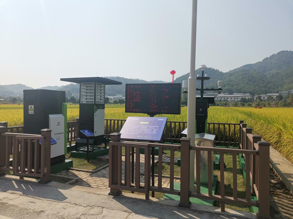 草莓视频在线免费农作物病虫害监测点 草莓视频在线免费农作物病虫害监测点