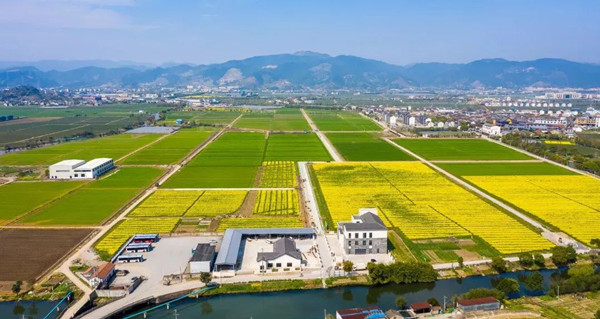 1668424622166848.jpg C_副本.jpg