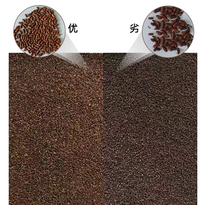 1677750709251334.png 400-2.png