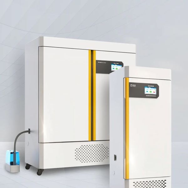 1695195555516337.jpg 5.jpg