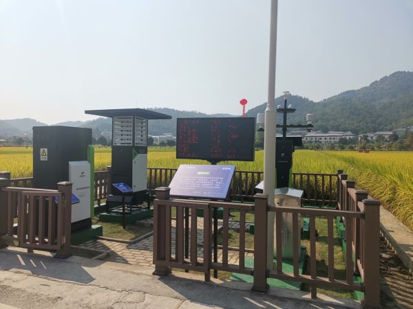 1703495744600541.jpg 6.jpg