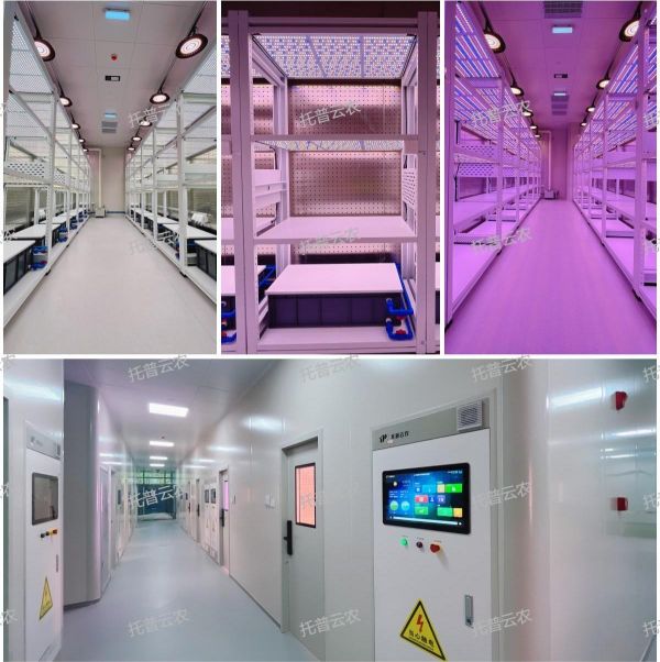 1722501299940558.jpg seo (4).jpg