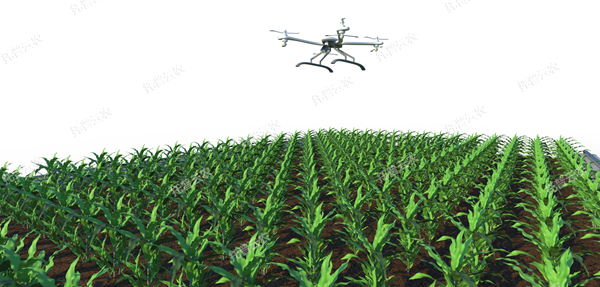 1722997194721459.png 田间无人机式植物高通量表型采集分析平台_600.png