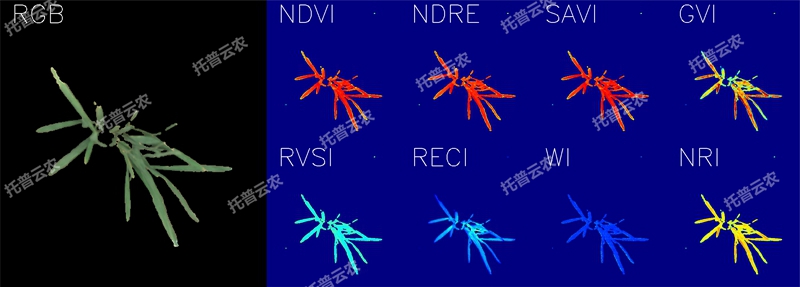 1723094686937236.jpg 高光谱图_水稻冠层_800_副本.jpg