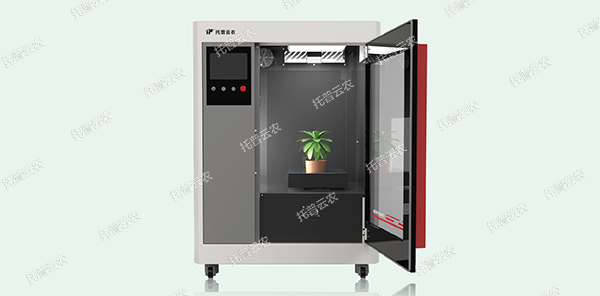 1724142806880315.jpg 6.jpg