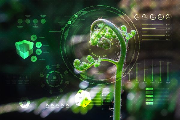 1724318257894257.jpg SEO (1).jpg