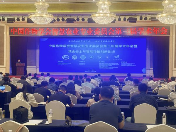 1724747690776491.jpg seo (1).jpg