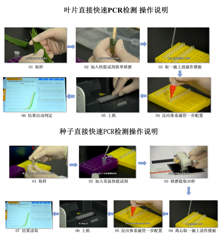 1729673206534306.png 正文-操作说明.png