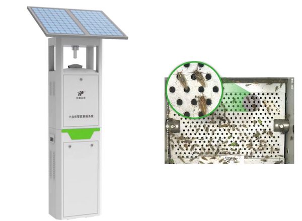 1737019091154972.jpg SEO.jpg