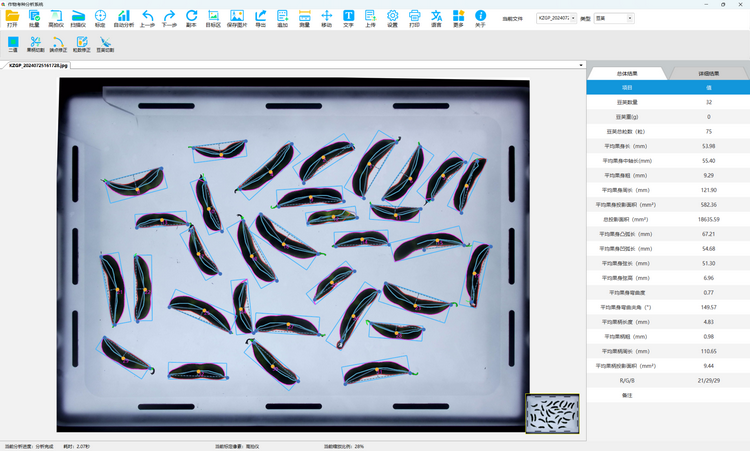 1739005446766582.png 1. 豆荚表型测定 总结果.png