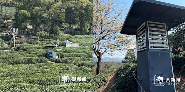 1742808121415758.jpg 5.jpg