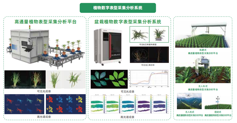 1743227794389859.png 图片25.png