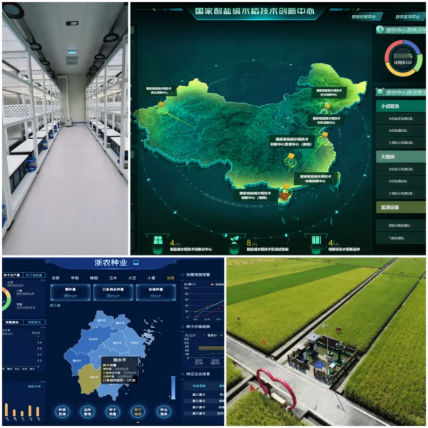 1744709656203808.png seo-3.png