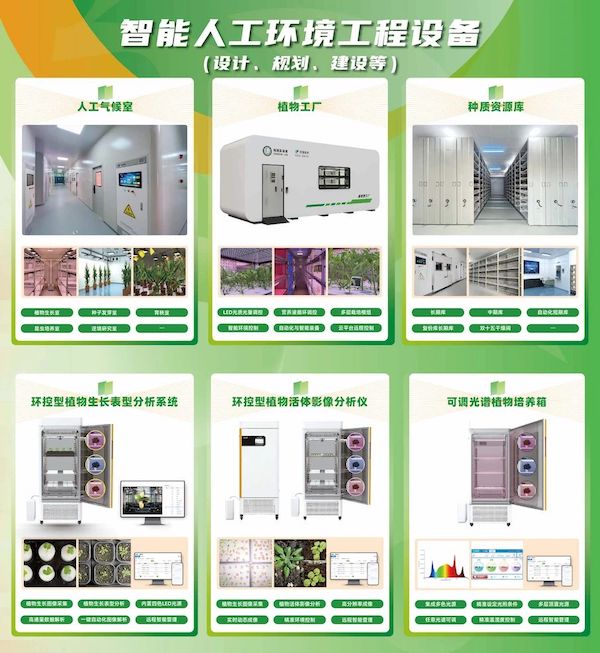 1747817977781365.jpg 3.jpg