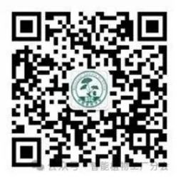 1749522411349589.png 1.png