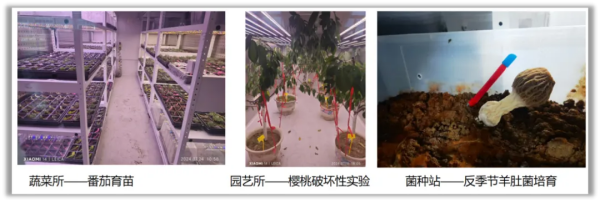 1749603867180983.png 图片2.png