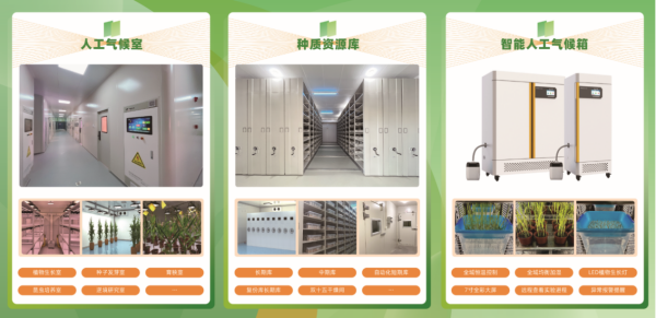 1755565181723184.png 人工智能气候室_副本.png