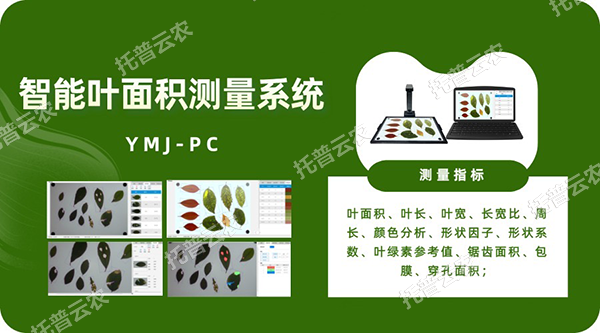 1755566492155264.png 图片1.png