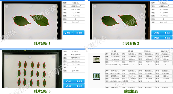 1755566577514019.png 图片4.png