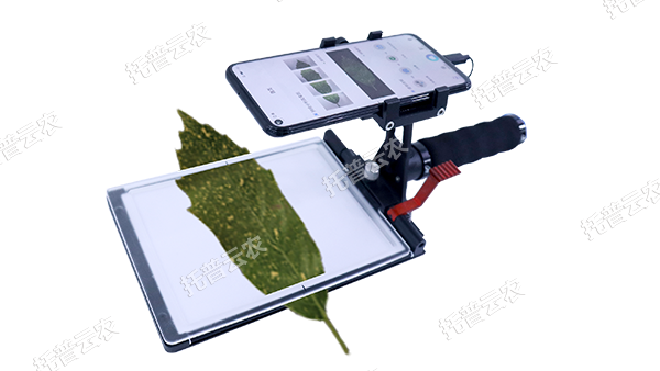 1755566629950722.png 图片6.png