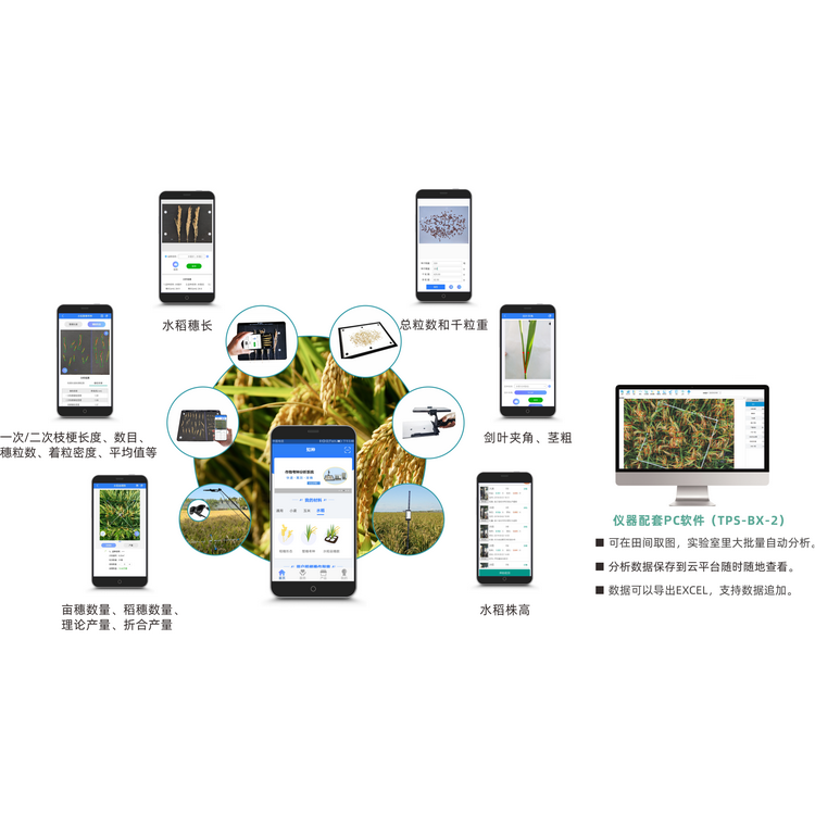 1756428141604405.png 水稻表型检测系统TPS-BX-2.png